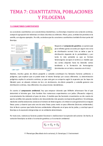 TEMA-7.pdf