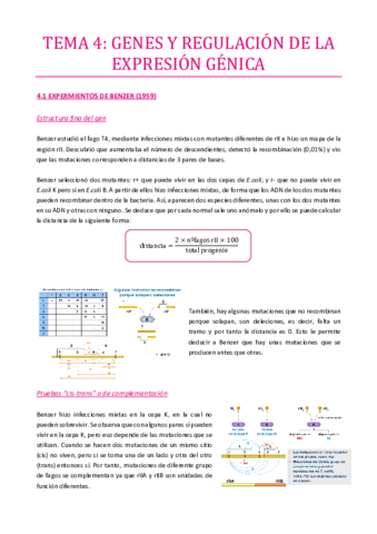 TEMA-4.pdf