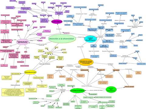 Esquema-de-la-asignatura-atencion-a-la-diversidad.jpg