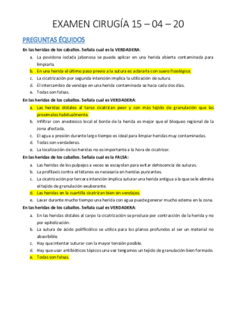 EXAMEN-CIRU-15-04-20.pdf