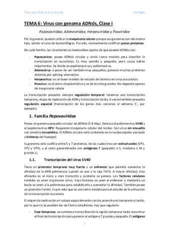 Tema-6.pdf