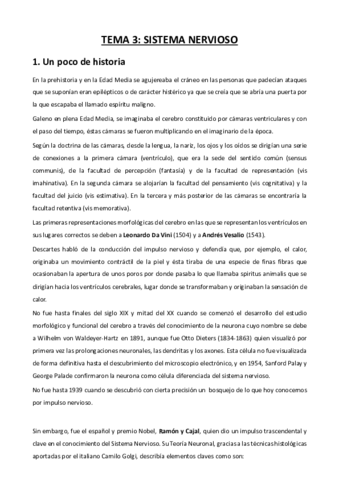 Sistema-Nervioso-Apuntes.pdf