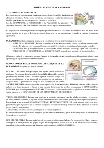 T5-ANATO-II.pdf