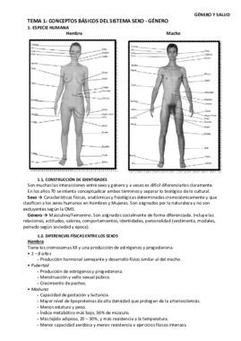 apuntes completos genero y salud.pdf