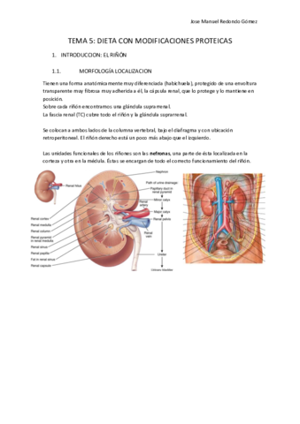 DIETA-CON-MODIFICACIONES-PROTEICAS.pdf