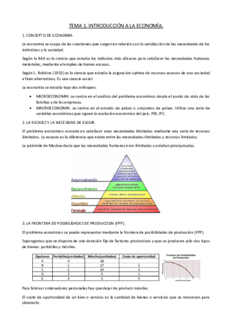 TEMA-1-Y-TEMA-2.pdf