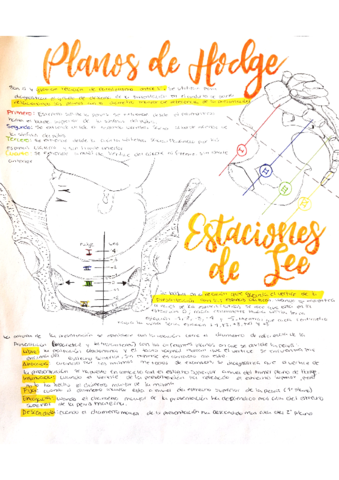 Planos-de-Hodge-y-Estaciones-de-Lee.pdf