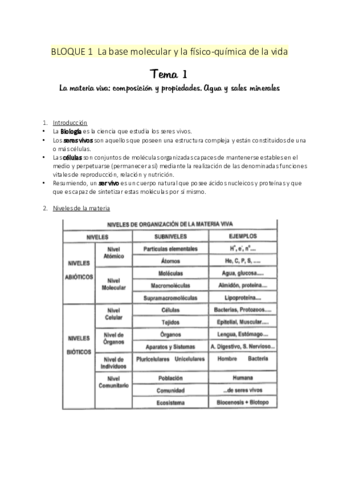 1.pdf
