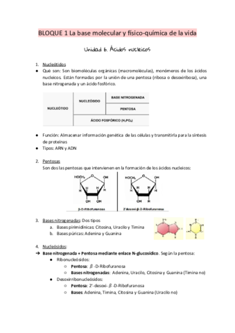 6.pdf