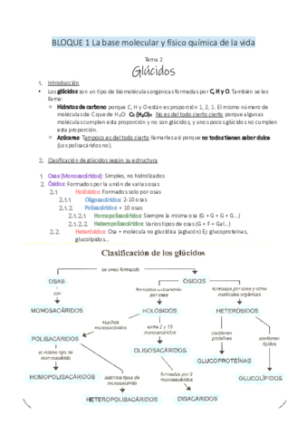 2.pdf