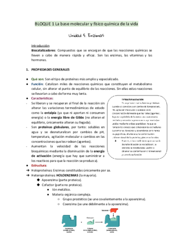 5.pdf