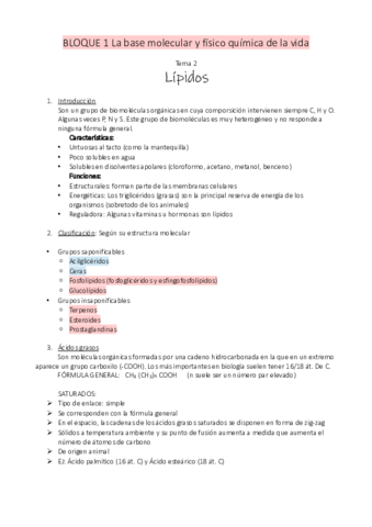 3.pdf