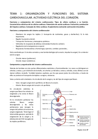 FISIOII-T1.pdf