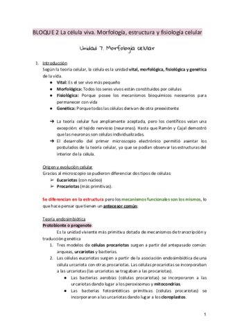 1.pdf