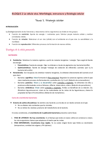 2.pdf