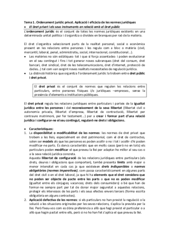APUNTES-IDPE-RESUMIDO.pdf