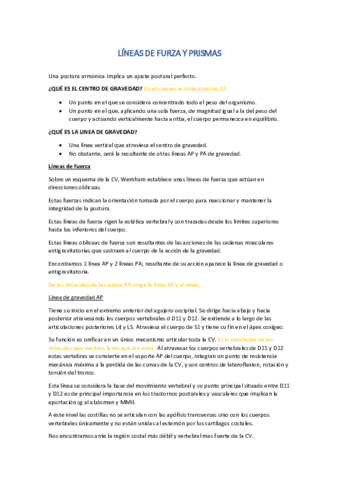 LINEAS-DE-FUERZA-Y-PRISMAS-apuntes.pdf