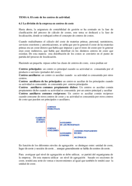 TEMA 6 El coste de los centros de actividad.pdf