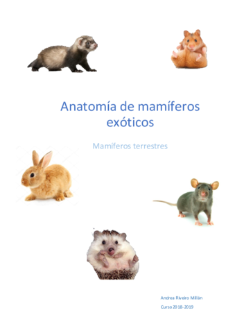 Apuntes-mamiferos-terrestres.pdf