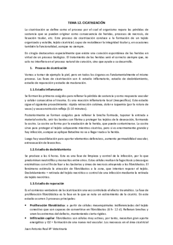 Tema-12.pdf