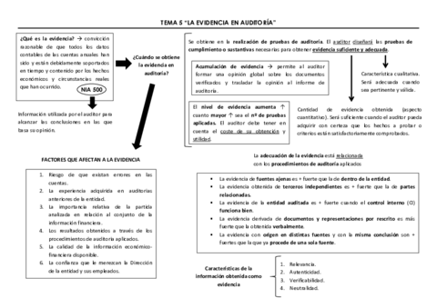 TEMA-5-esquema-auditoria.pdf