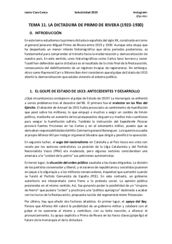 TEMA-11.pdf