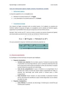 Tema 14_Complet.pdf