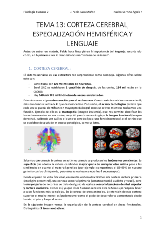 TEMA-13-CORTEZA-CEREBRAL-ESPECIALIZACION-HEMISFERICA-Y-LENGUAJE.pdf