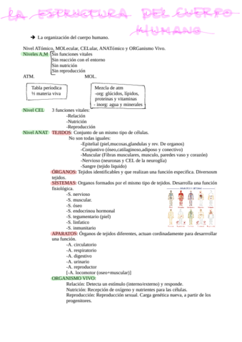 Fisiopatologia-tema-1-20191014092429.pdf