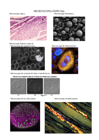 MICROSCOPIA.pdf