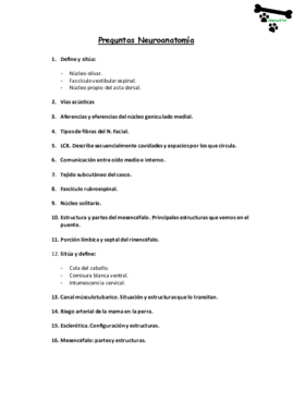 Preguntas Neuro.pdf