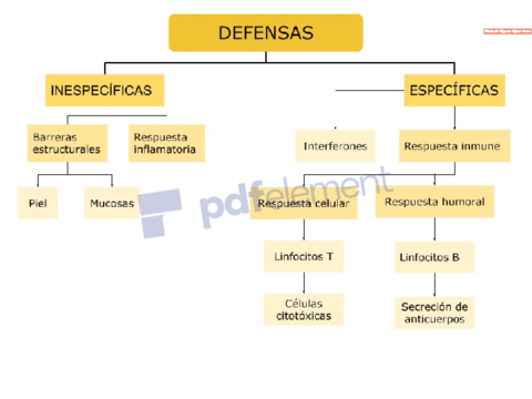 defensas-1.pdf