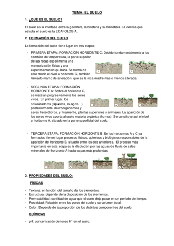 El Suelo Pdf