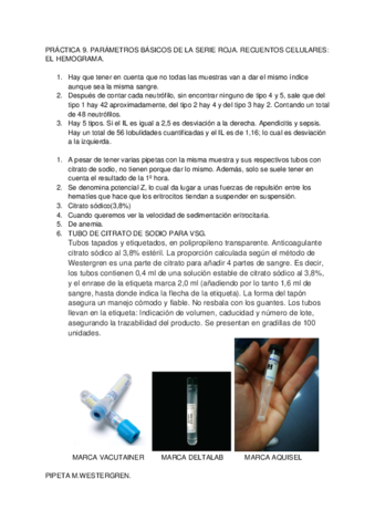 PRACTICA-9.pdf