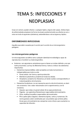 wuolah-free-TEMA-5.pdf