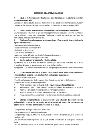 Ejercicios-de-autoevaluacion-I-2.pdf