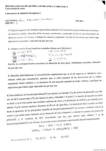 laboratorio-inorganica-1.pdf