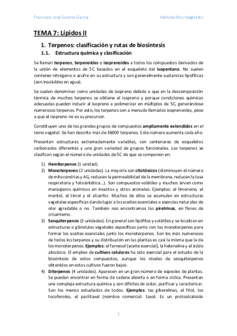 Tema-7.pdf