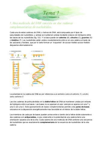 DNA-y-cromosomas.pdf