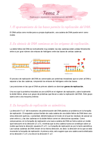 Replicacion-reparacion-y-recombinacion-del-DNA.pdf