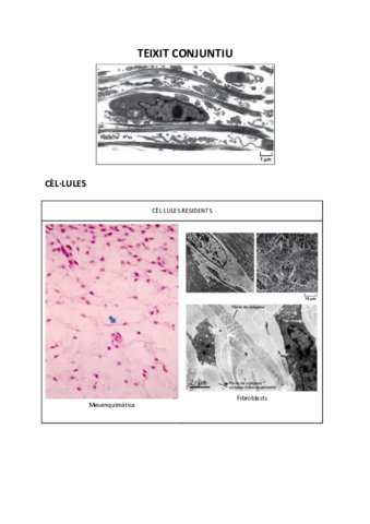 VISUM-HISTOLOGIA-2.pdf