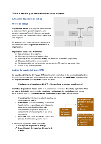 TEMA-3-Analisis-y-planificacion-de-RRHH.pdf