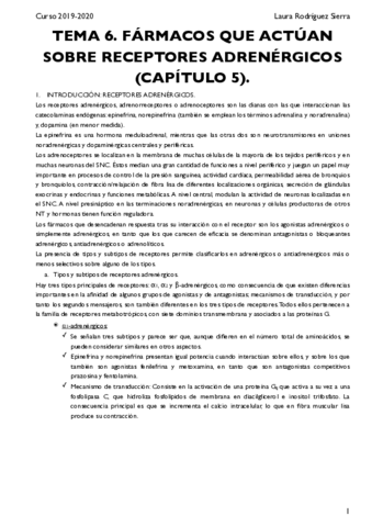TEMA-6.pdf