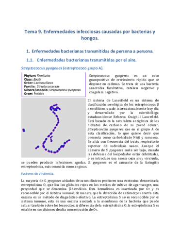 Tema-9.pdf