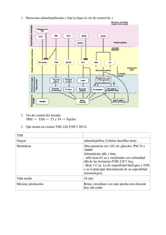 Preguntas-Estrella.pdf