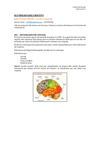 TEMA 9. Organs dels sentits.pdf