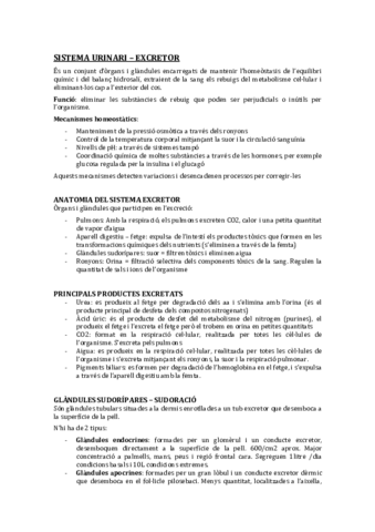 TEMA 13. Sist. Urinari.pdf