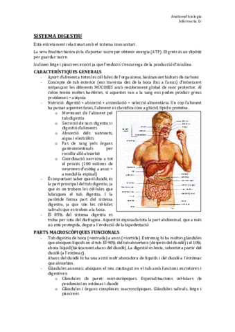 TEMA 12. Sist. Digestiu.pdf