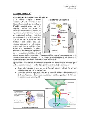 TEMA 10. Sist. Endocri.pdf