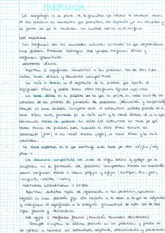 Morfología.pdf
